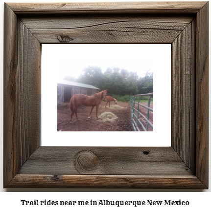 trail rides near me in Albuquerque, New Mexico